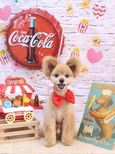 20230910クッキーくん